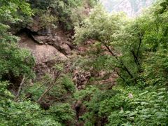 android_upload_pic-白草畔自然风景区