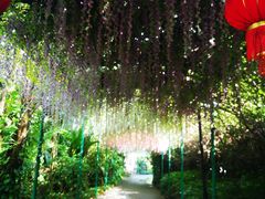 -嘉和K6温泉微度假