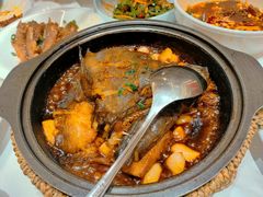 砂锅碟鱼头-双合园·海鲜水饺青岛菜(九水东路店)