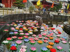 -上海东林寺(金山区)