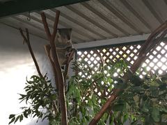 -费瑟代尔野生动物园