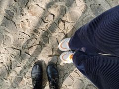 -上海佘山国家森林公园天马山园