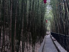 -鲁山国家森林公园