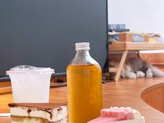 荔枝气泡水-有猫主题·治愈系猫咖(曾厝垵店)