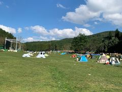 -武陵山森林公园