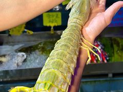 -辉记炭烧海鲜大排档·老字号(福田店)