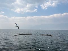-大理洱海