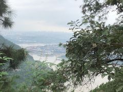 -铁山坪森林公园