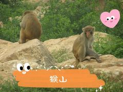 -石家庄市动物园