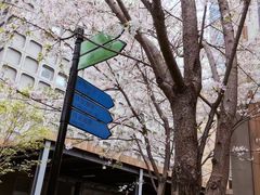 -心动网络股份有限公司(大宁中心广场店)