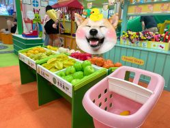 -莫莉幻想儿童乐园(武汉经开永旺店)