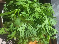 -捞王锅物料理(金华义乌之心店)