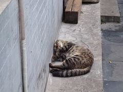 -正阳书局(西四南大街店)