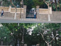 -八大关景区