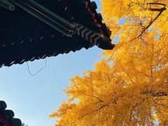 -承恩寺