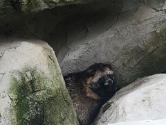 -黔灵山公园