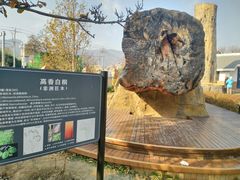 -北京植物园南门售票处