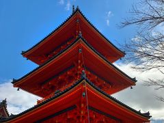 -有栖山 清光院 清水寺