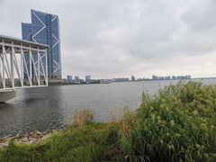 -南汇新城海滩