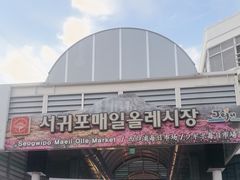 -西归浦每天偶来市场