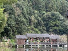 -天芳悦潭度假村温泉