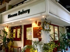 -花间烘焙BLossom Bakery