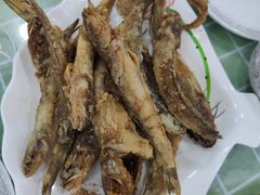 -四海蒸鲜蒸汽海鲜自助(北戴河店)