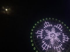 -琴岛之星摩天轮