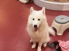 -和它·交个朋友·狗咖猫咖(爱琴海店)