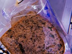 -OUR Bakery(SKP-S店)