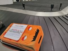 -青岛胶东国际机场