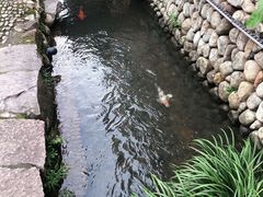 -新月集庭院咖啡馆(老邮局店)
