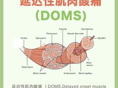 -锐动健身游泳(博地中心店)