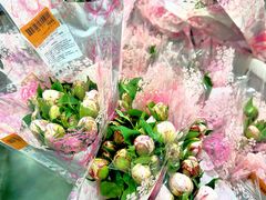 -山姆会员商店(上海浦东店)