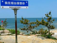 -养马岛旅游度假区