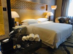 -西安赛瑞喜来登大酒店