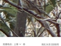 -昆山城市生态森林公园