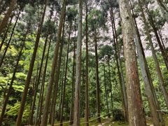 -雁荡山大龙湫景区