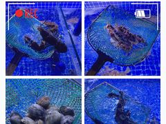 -三亚海棠湾万丽度假酒店