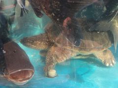 -魏铭鱼头捞饭(晋阳路店)