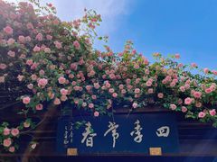 -鹅湖玫瑰文化园