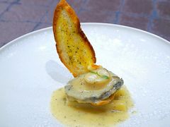 -新光酒家·河豚·海鲜·蟹料理(浦东店)