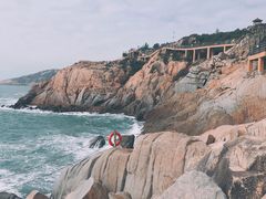 -广东惠东海龟国家级自然保护区