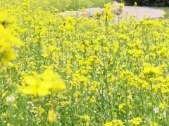 -长春公园(普阳街道)