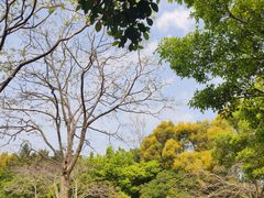 -深圳国际园林花卉博览园