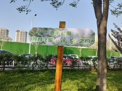-泰丰公园