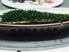 -龙吟九品(青龙山庄店)