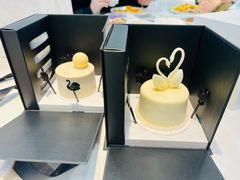 天鹅颈-BLACKSWAN黑天鹅(环球店)