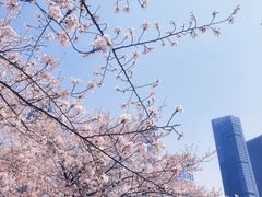 -西北湖绿化广场