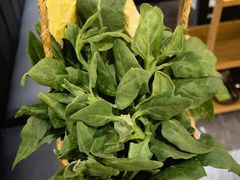 -一朵菌·野生菌探索家火锅(南亚店)